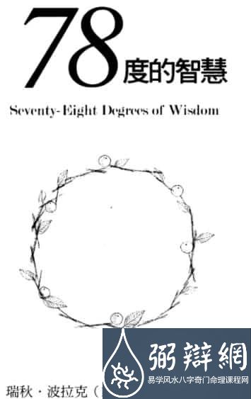 78度的智慧  塔罗占卜78度的智慧 完整台湾译本421页插图